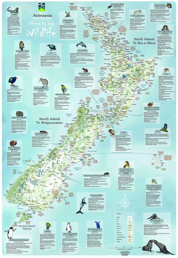 New Zealand Wall Maps